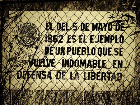 Mejor Abogado De Inmigración Austin Cinco De Mayo