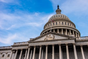 ¿Pueden Los Indocumentados Votar En Estados Unidos?
