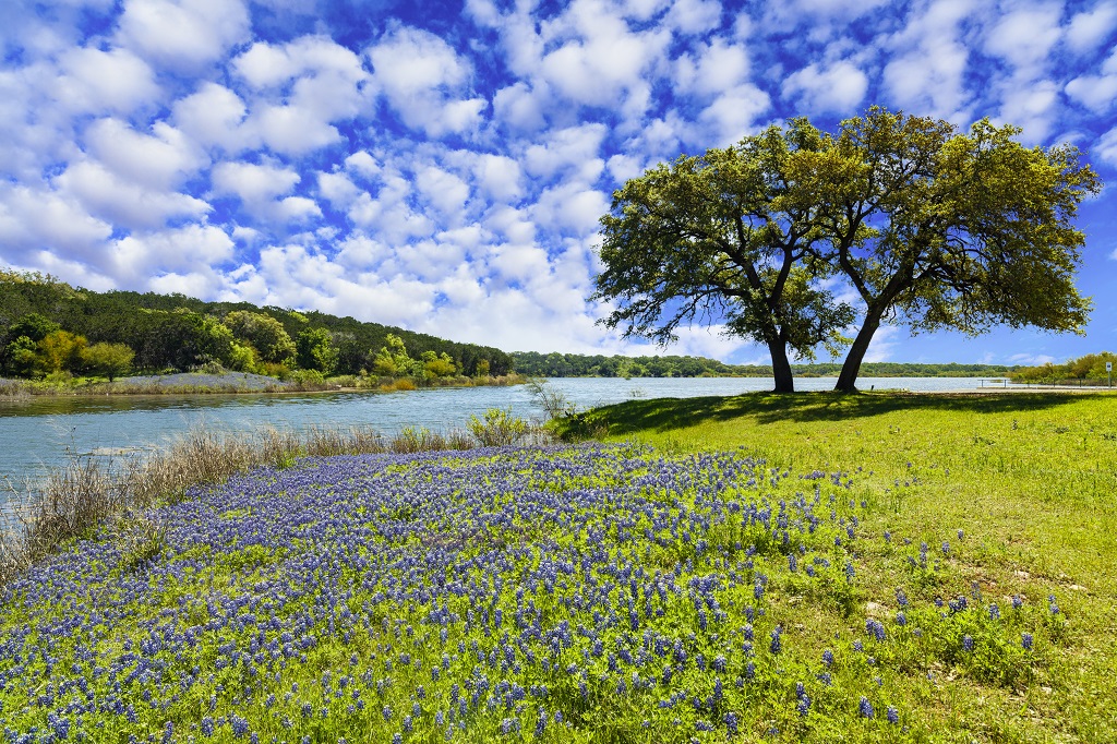 For Nature Lovers, Austin, Texas Has Plenty Of Outdoor Activities For Visitors To Delight In