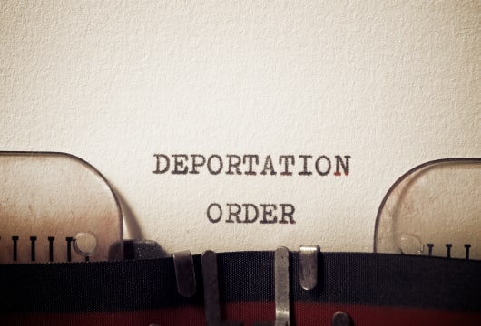 Why Anna Delvey Is Actually Much Closer To Deportation Than You Think – Exclusive