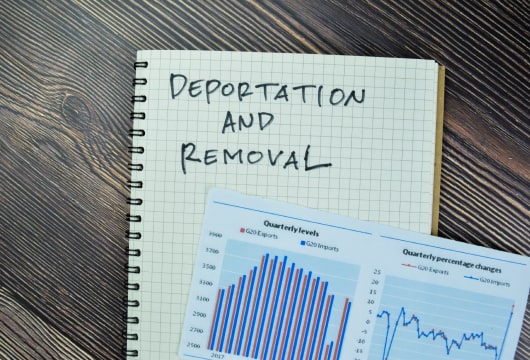 Government Announces Expedited Removal For Some Migrants Crossing The Border Illegally