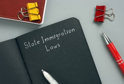 Immigration Layer Kate Lincoln-Goldfinch Discusses Immigration In Texas