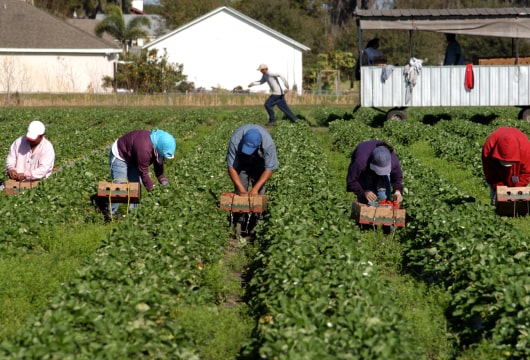 Immigration Lawyer In Austin Explains How Immigrants Impact The U.S. Workforce