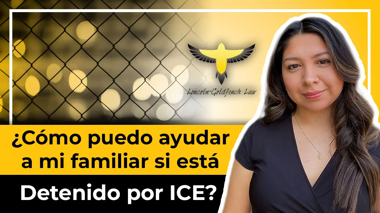 How Can You Help A Family Member Detained By ICE?