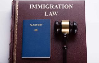 What If You Lose An Immigration Appeal