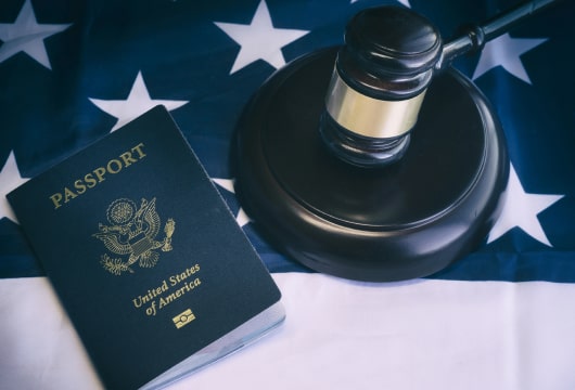 Kate Lincoln-Goldfinch On The Heat: U.S. immigration