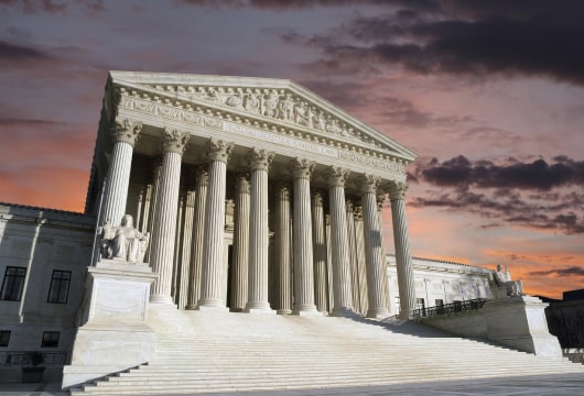 Federal Courts vs. Individual Claims: Immigration Law Debate