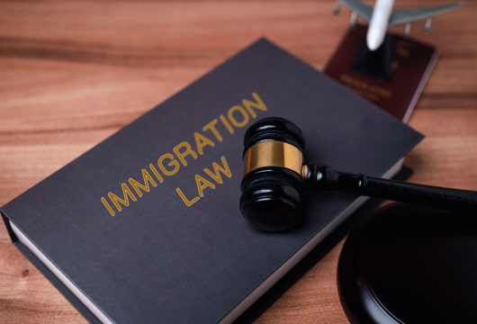 Immigration Enforcement: New Strategies & Funding Challenges