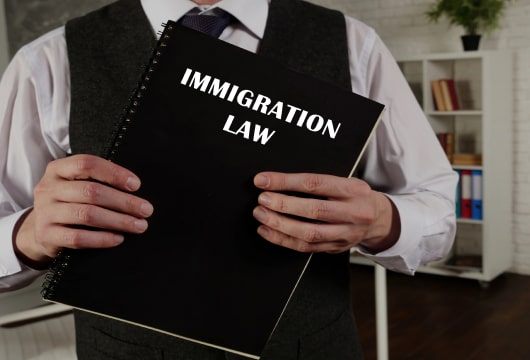 Legal Challenges & Public Opinion: Immigration In Focus