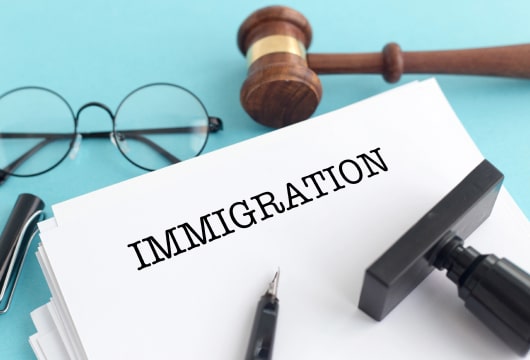 Immigration Updates With Kate Lincoln-Goldfinch