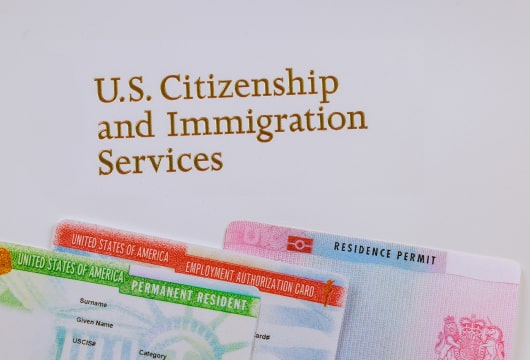 Legal Chaos: Citizenship Status In Question