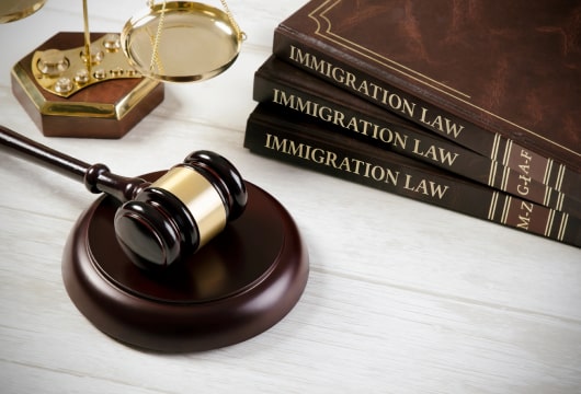 Coste humano por aplicación de leyes migratorias: El caso de la familia Herrera