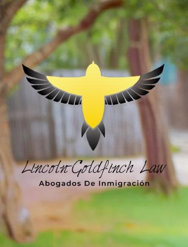 Lizbeth Lopez abogada en Lincoln Goldfinch Law Firm