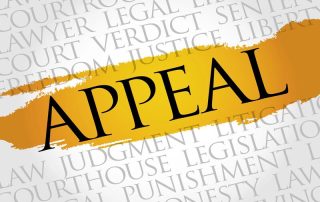 What Happens Next? The Immigration Appeal Process Explained