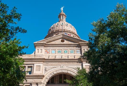Kate Lincoln-Goldfinch se postula para representante estatal de la Cámara de Representantes de Texas