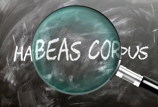 Habeas Corpus Or Detention: The Temporary Alternative To ICE