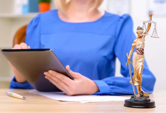 Community Highlights: Meet Kate Lincoln Goldfinch Of Lincoln Goldfinch Law