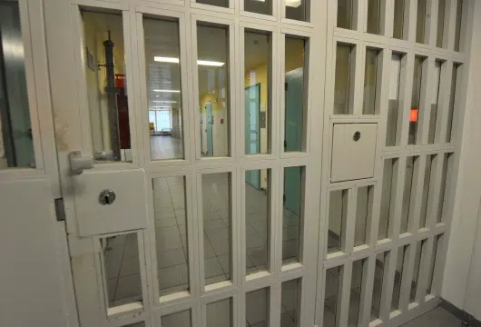 Federal Judge Orders ICE To Release Detained Family