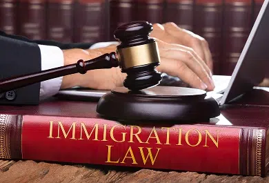 The Human Cost Of ICE Enforcement